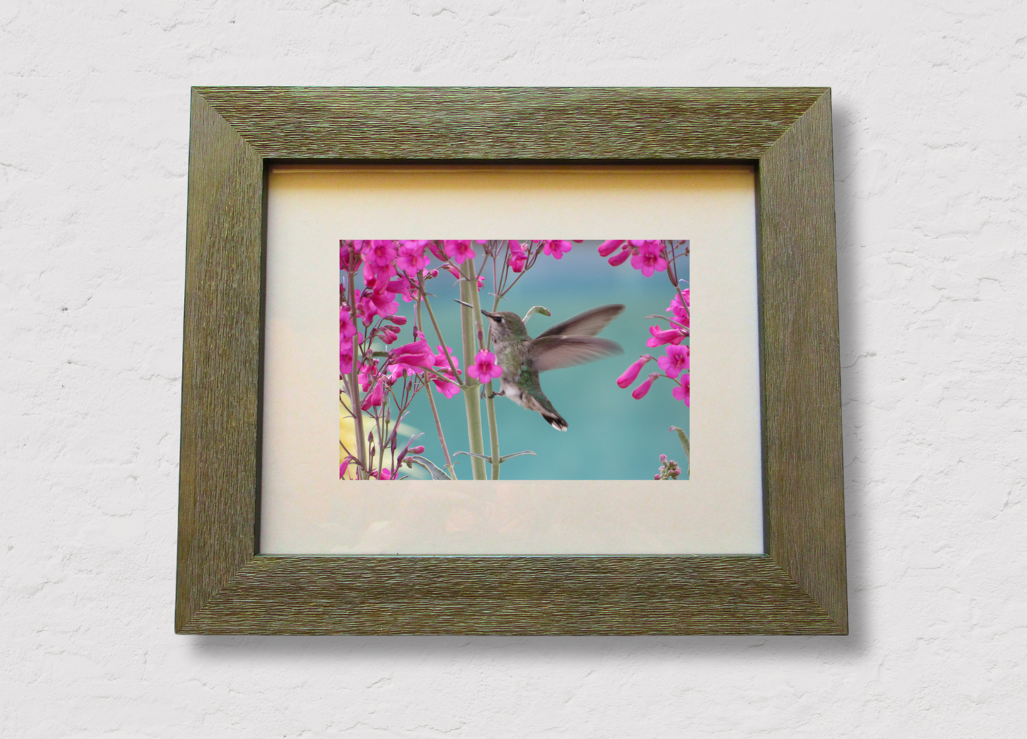 Hummingbird Haven