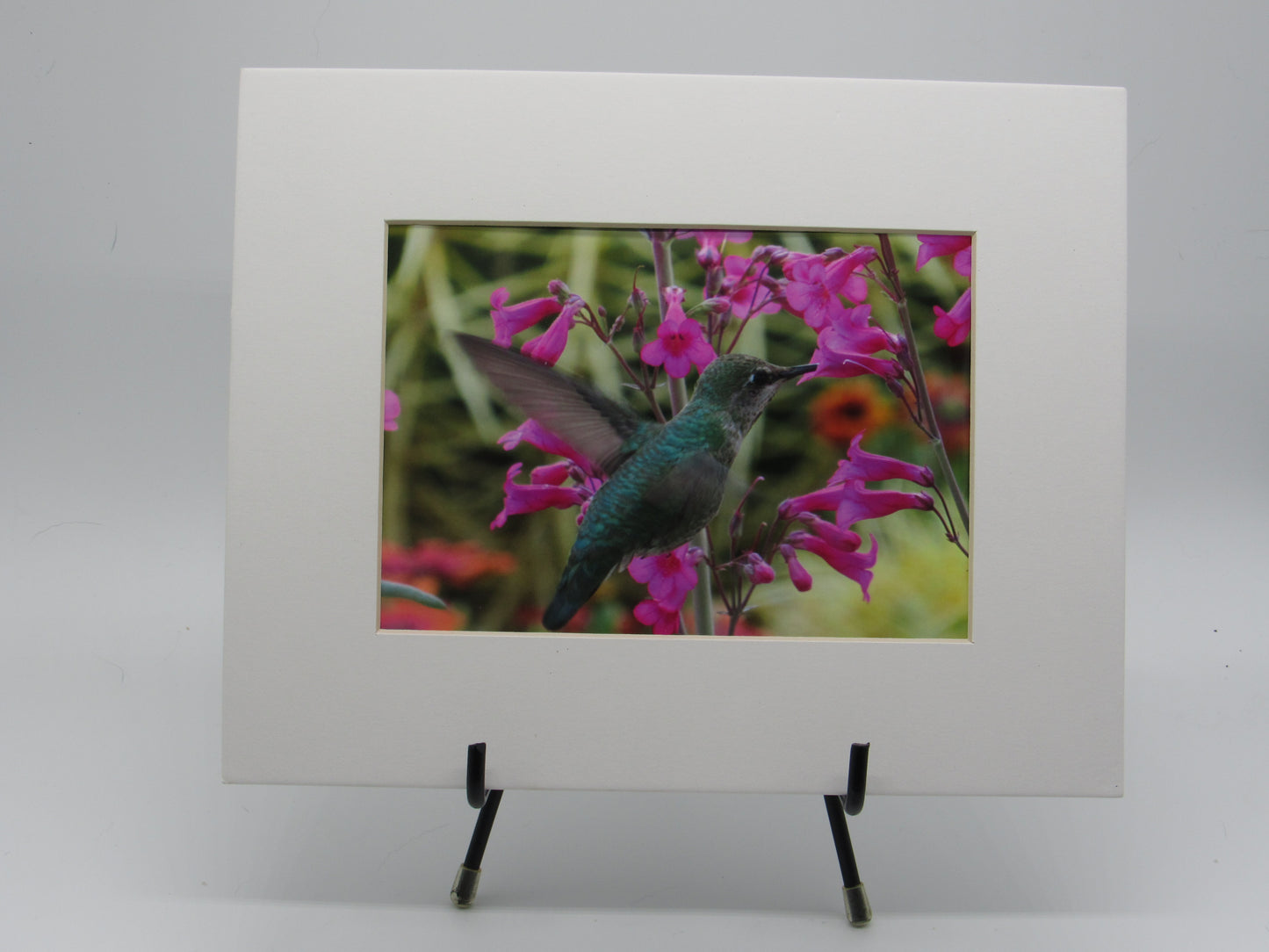 Hummer in his glory