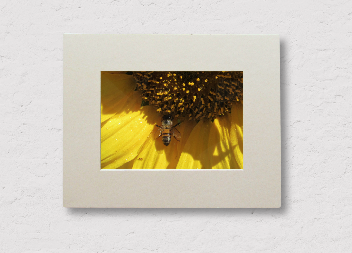 Bee on Sunflower