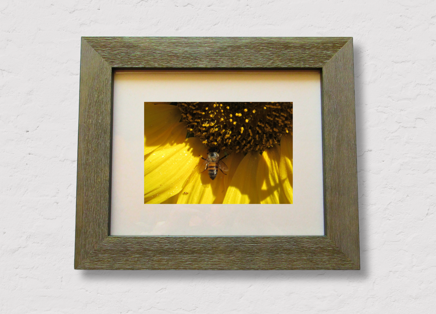 Bee on Sunflower