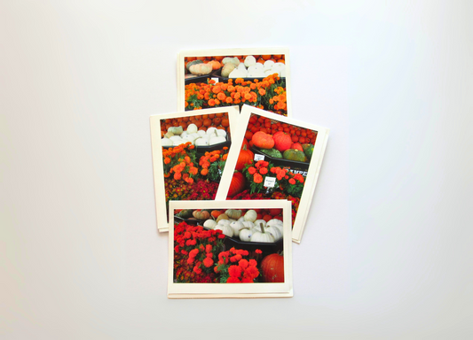 Autumn Harvest Cards