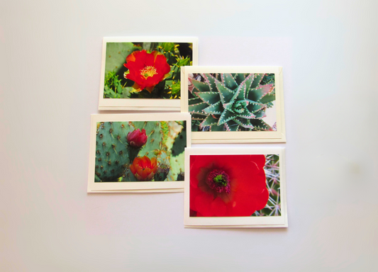 Cactus Blossom Cards