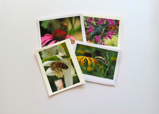 Nature’s Pollinators Cards