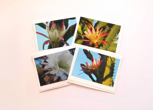 Cactus Blooms Cards