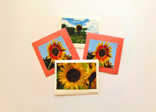 Sunflower Glory Cards